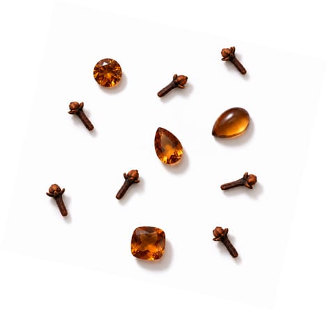 Zoya Rasika Heliodor