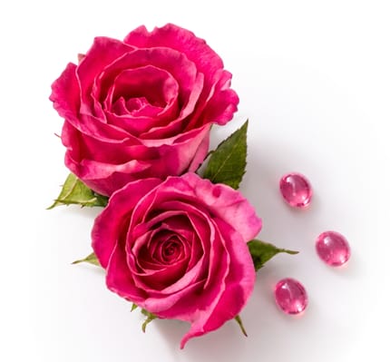 Zoya Rasika Rubellite