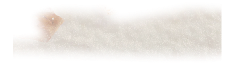 product-2-3-seperator