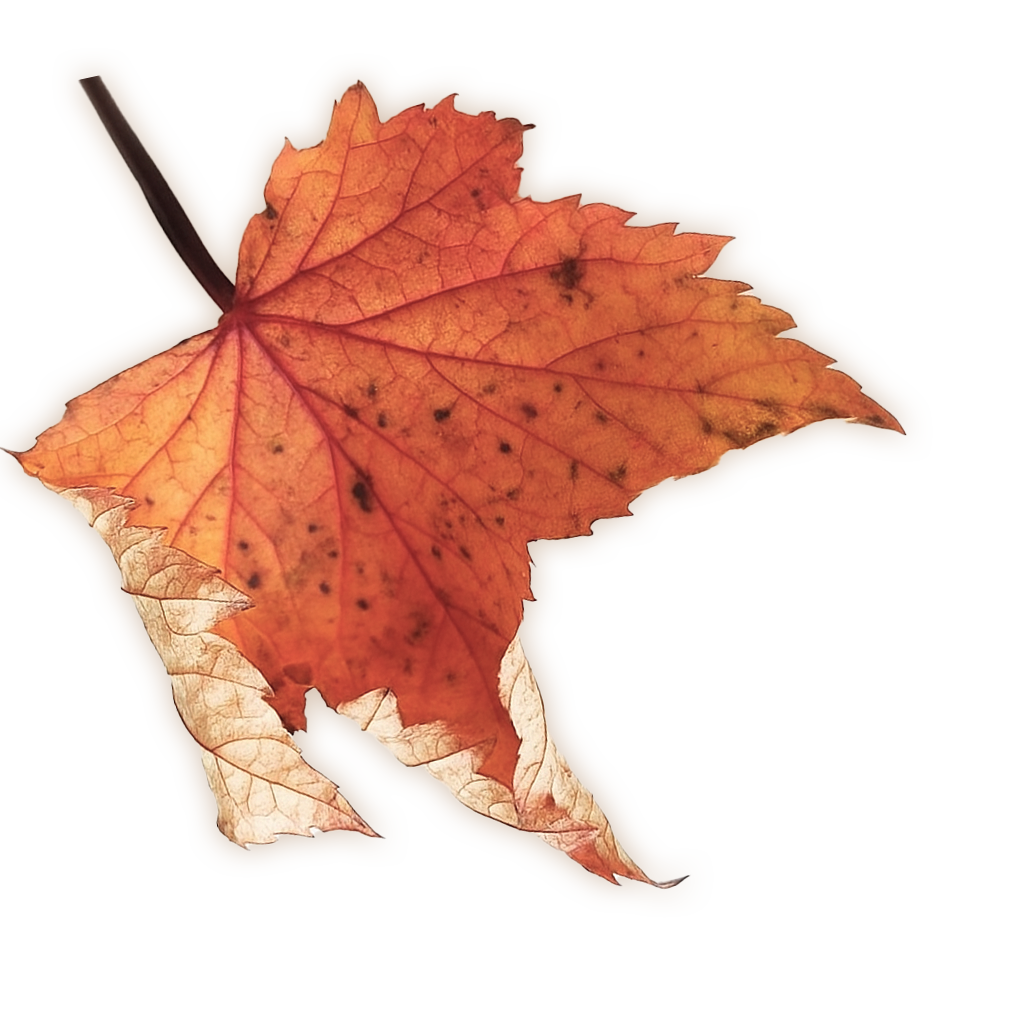 Decorative Leaf