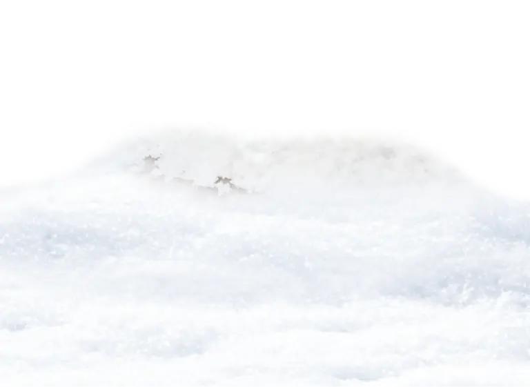 Layer