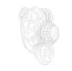 image4.png